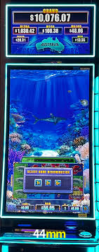 Bônus Generosos e Exclusivos no 44mm para Você!